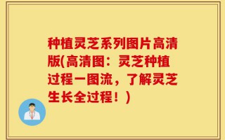种植灵芝系列图片高清版(高清图：灵芝种植过程一图流，了解灵芝生长全过程！)