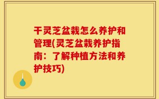 干灵芝盆栽怎么养护和管理(灵芝盆栽养护指南：了解种植方法和养护技巧)