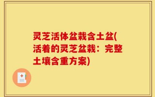 灵芝活体盆栽含土盆(活着的灵芝盆栽：完整土壤含重方案)