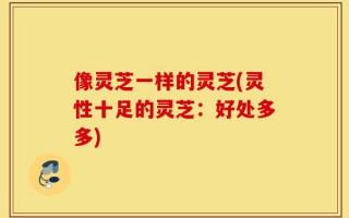 像灵芝一样的灵芝(灵性十足的灵芝：好处多多)