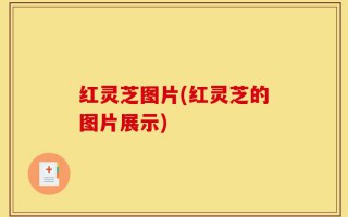 红灵芝图片(红灵芝的图片展示)