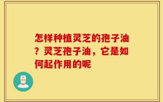 怎样种植灵芝的孢子油？灵芝孢子油，它是如何起作用的呢