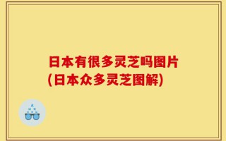 日本有很多灵芝吗图片(日本众多灵芝图解)