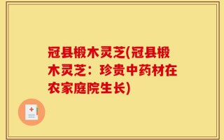 冠县椴木灵芝(冠县椴木灵芝：珍贵中药材在农家庭院生长)