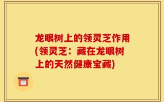 龙眼树上的领灵芝作用(领灵芝：藏在龙眼树上的天然健康宝藏)