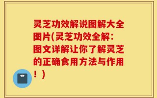 灵芝功效解说图解大全图片(灵芝功效全解：图文详解让你了解灵芝的正确食用方法与作用！)