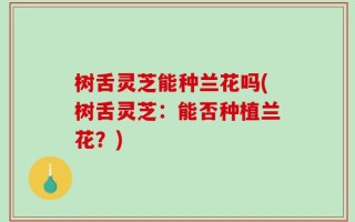 树舌灵芝能种兰花吗(树舌灵芝：能否种植兰花？)