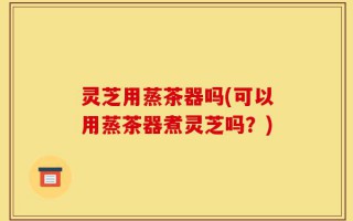 灵芝用蒸茶器吗(可以用蒸茶器煮灵芝吗？)