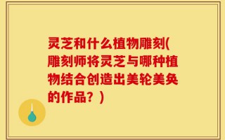 灵芝和什么植物雕刻(雕刻师将灵芝与哪种植物结合创造出美轮美奂的作品？)