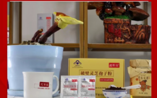 芝素堂灵芝孢子粉怎么吃 科学服用芝素堂灵芝孢子粉