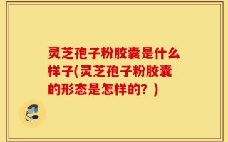 灵芝孢子粉胶囊是什么样子(灵芝孢子粉胶囊的形态是怎样的？)