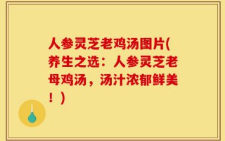 人参灵芝老鸡汤图片(养生之选：人参灵芝老母鸡汤，汤汁浓郁鲜美！)