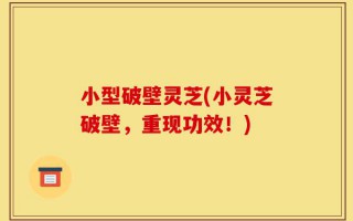 小型破壁灵芝(小灵芝破壁，重现功效！)
