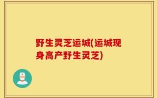 野生灵芝运城(运城现身高产野生灵芝)