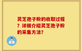 灵芝孢子粉的收取过程？详细介绍灵芝孢子粉的采集方法？