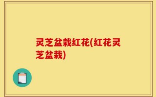 灵芝盆栽红花(红花灵芝盆栽)