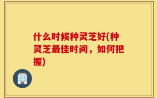 什么时候种灵芝好(种灵芝最佳时间，如何把握)