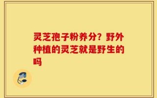 灵芝孢子粉养分？野外种植的灵芝就是野生的吗