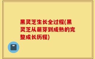 黑灵芝生长全过程(黑灵芝从萌芽到成熟的完整成长历程)