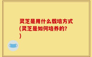 灵芝是用什么载培方式(灵芝是如何培养的？)