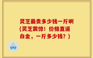 灵芝最贵多少钱一斤啊(灵芝震惊！价格直逼白金，一斤多少钱？)