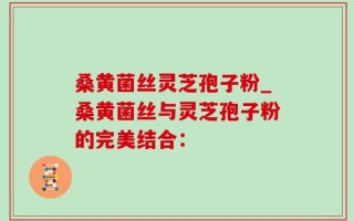 桑黄菌丝灵芝孢子粉_桑黄菌丝与灵芝孢子粉的完美结合：