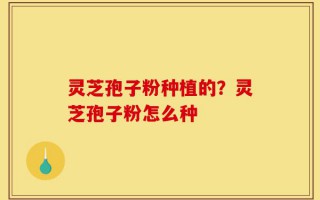 灵芝孢子粉种植的？灵芝孢子粉怎么种