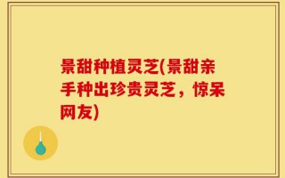 景甜种植灵芝(景甜亲手种出珍贵灵芝，惊呆网友)