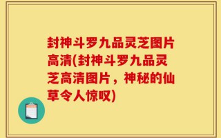 封神斗罗九品灵芝图片高清(封神斗罗九品灵芝高清图片，神秘的仙草令人惊叹)