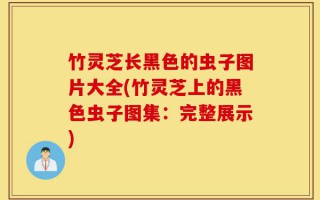 竹灵芝长黑色的虫子图片大全(竹灵芝上的黑色虫子图集：完整展示)