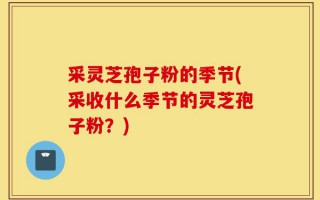 采灵芝孢子粉的季节(采收什么季节的灵芝孢子粉？)