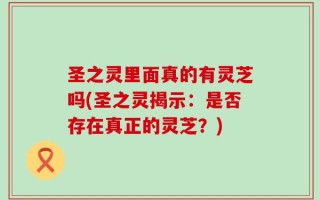 圣之灵里面真的有灵芝吗(圣之灵揭示：是否存在真正的灵芝？)