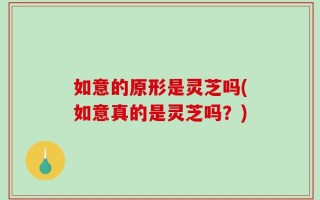 如意的原形是灵芝吗(如意真的是灵芝吗？)