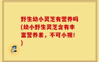 野生幼小灵芝有营养吗(幼小野生灵芝含有丰富营养素，不可小视！)