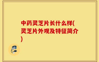 中药灵芝片长什么样(灵芝片外观及特征简介)