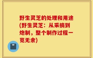 野生灵芝的处理和用途(野生灵芝：从采摘到炮制，整个制作过程一览无余)