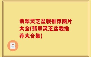 翡翠灵芝盆栽推荐图片大全(翡翠灵芝盆栽推荐大合集)