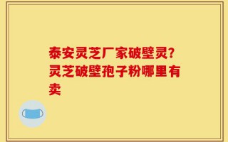 泰安灵芝厂家破壁灵？灵芝破壁孢子粉哪里有卖