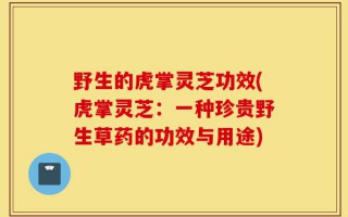 野生的虎掌灵芝功效(虎掌灵芝：一种珍贵野生草药的功效与用途)