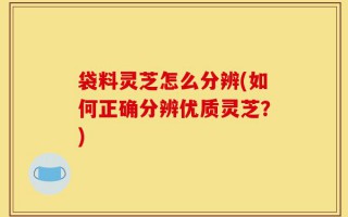 袋料灵芝怎么分辨(如何正确分辨优质灵芝？)