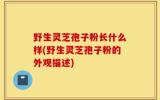 野生灵芝孢子粉长什么样(野生灵芝孢子粉的外观描述)