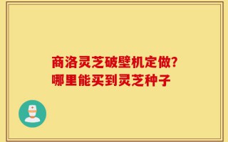 商洛灵芝破壁机定做？哪里能买到灵芝种子