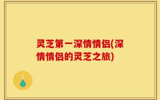 灵芝第一深情情侣(深情情侣的灵芝之旅)