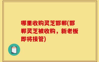 哪里收购灵芝邯郸(邯郸灵芝被收购，新老板即将接管)
