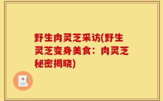 野生肉灵芝采访(野生灵芝变身美食：肉灵芝秘密揭晓)
