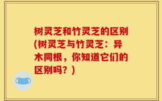 树灵芝和竹灵芝的区别(树灵芝与竹灵芝：异木同根，你知道它们的区别吗？)