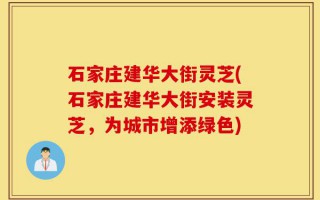 石家庄建华大街灵芝(石家庄建华大街安装灵芝，为城市增添绿色)