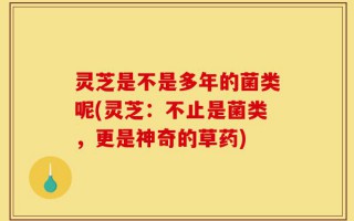 灵芝是不是多年的菌类呢(灵芝：不止是菌类，更是神奇的草药)