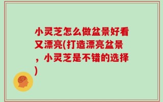 小灵芝怎么做盆景好看又漂亮(打造漂亮盆景，小灵芝是不错的选择)
