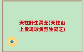天柱野生灵芝(天柱山上发现珍贵野生灵芝)